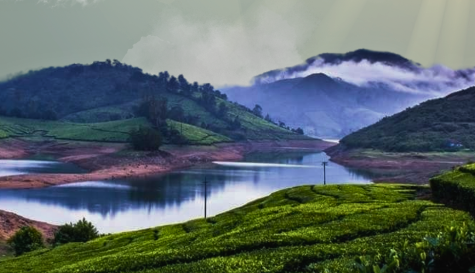Munnar vs Meghamalai vs Vagamon in Monsoon: Which Hill Destination Should You Choose?